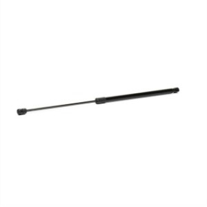 Tailgate Strut - RIDEX 219G0909