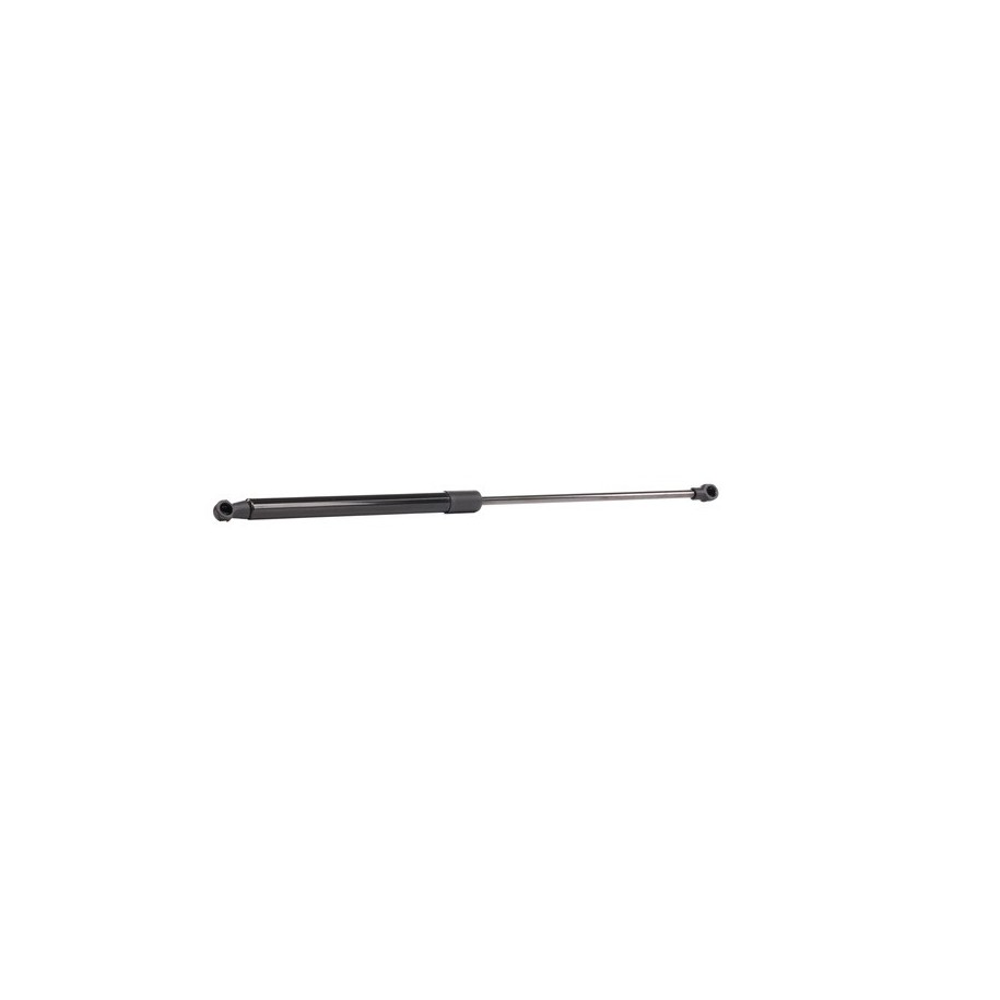 Tailgate Strut - RIDEX 219G0911