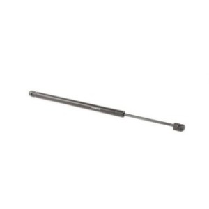 Tailgate Strut - RIDEX 219G0912