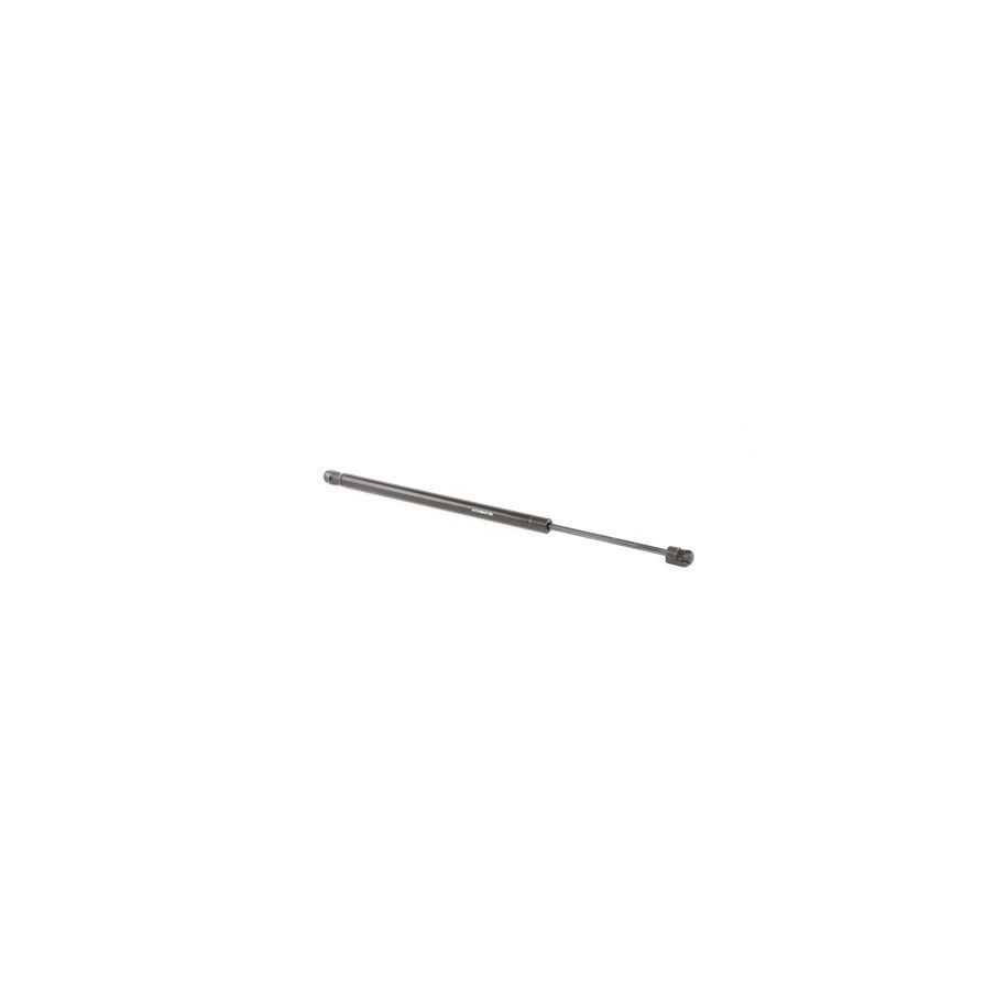 Tailgate Strut - RIDEX 219G0912