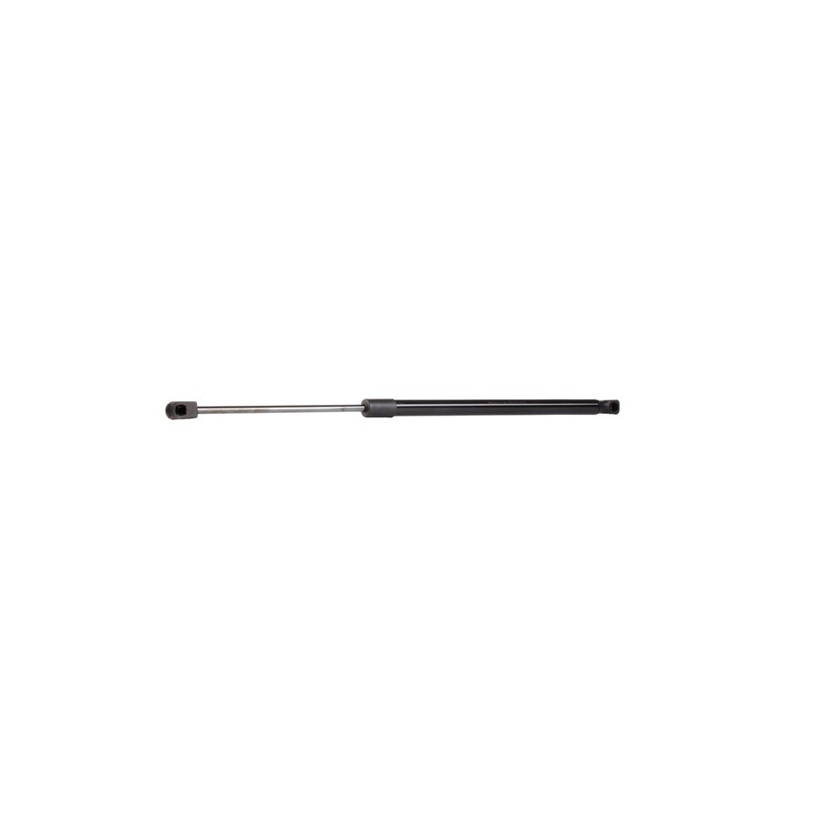 Tailgate Strut - RIDEX 219G0913