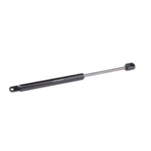 Tailgate Strut - RIDEX 219G0916