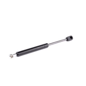 Tailgate Strut - RIDEX 219G0917