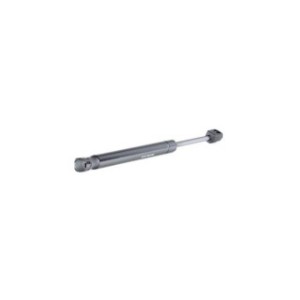 Tailgate Strut - RIDEX 219G0918