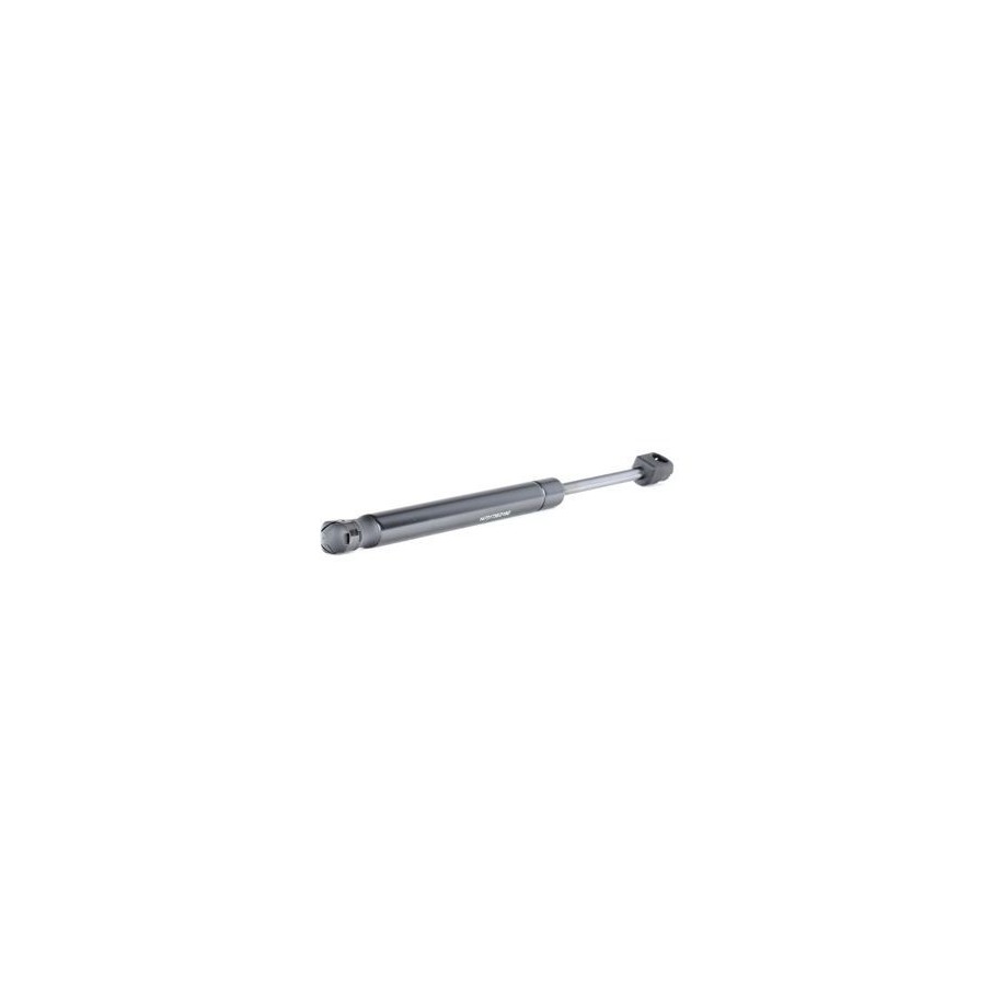 Tailgate Strut - RIDEX 219G0918