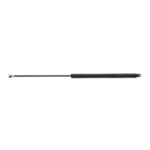 Tailgate Strut - RIDEX 219G0919