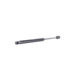 Tailgate Strut - RIDEX 219G0922