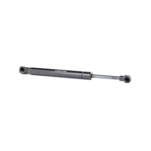 Tailgate Strut - RIDEX 219G0924