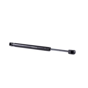 Tailgate Strut - RIDEX 219G0925