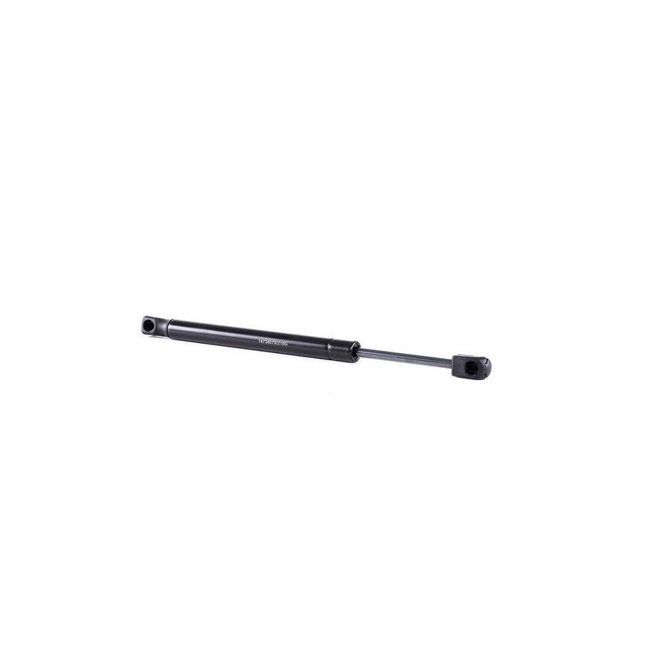 Tailgate Strut - RIDEX 219G0925