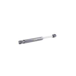Tailgate Strut - RIDEX 219G0928