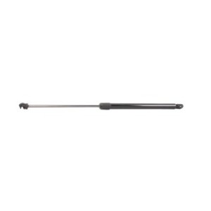 Tailgate Strut - RIDEX 219G0931