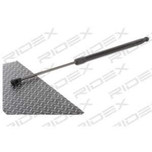 Tailgate Strut - RIDEX 219G0936