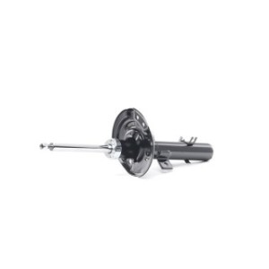 Shock Absorber - RIDEX 854S2200