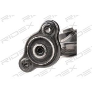 Control Trailing Arm - RIDEX 273C1568