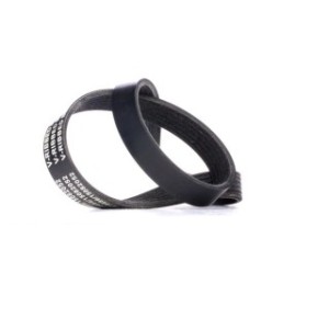 V Ribbed Belt - RIDEX 305P0401