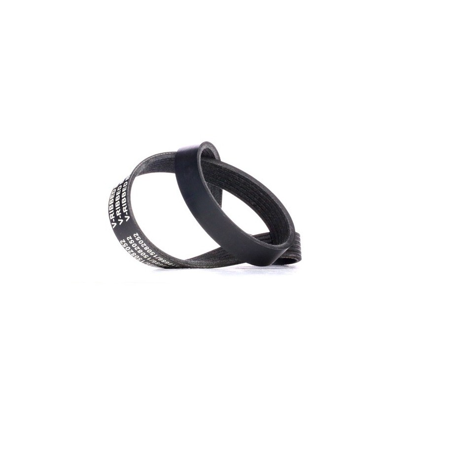 V Ribbed Belt - RIDEX 305P0401