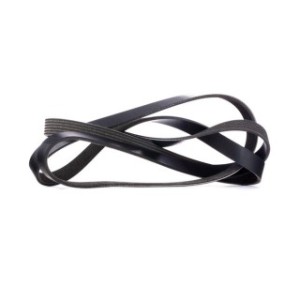 V Ribbed Belt - RIDEX 305P0424