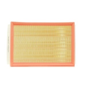 Air Filter - RIDEX 8A1018