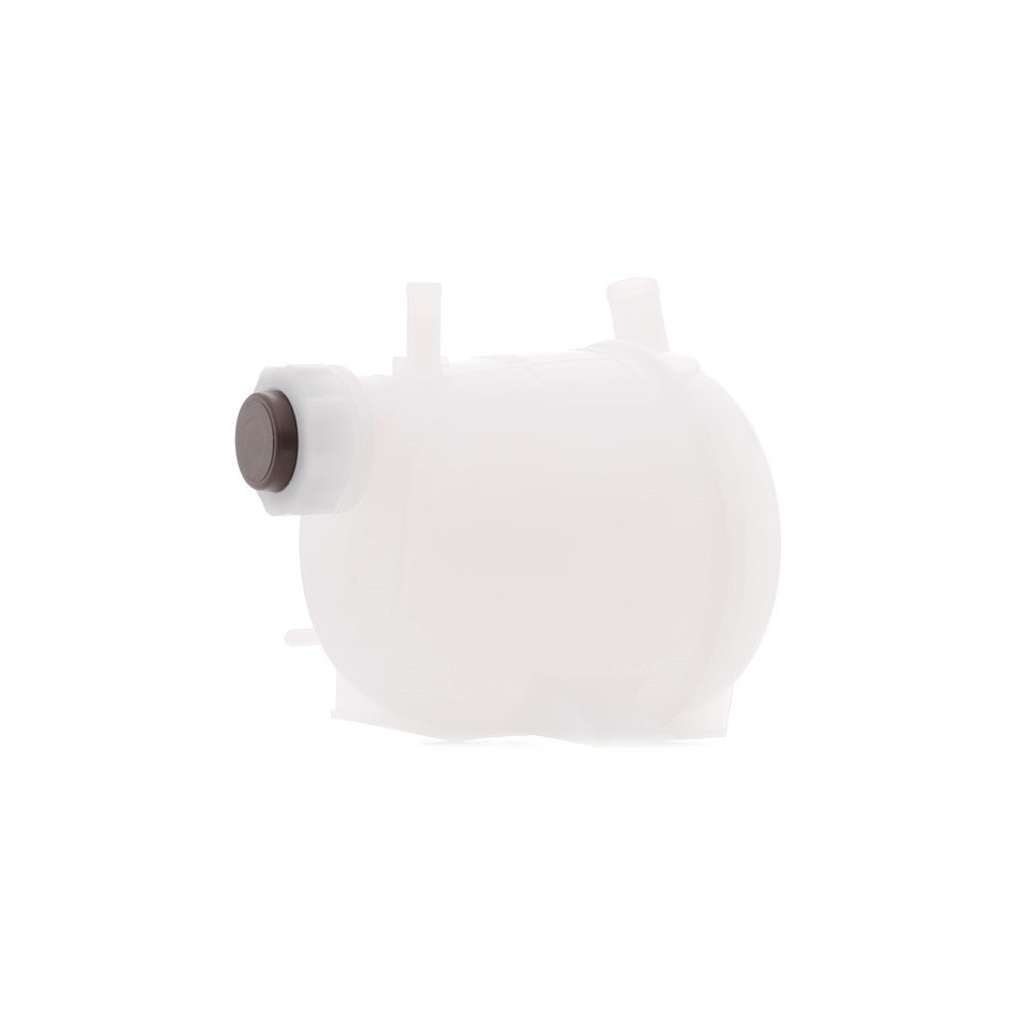 Coolant Expansion Tank - RIDEX 397E0131