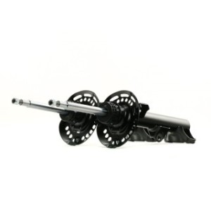 Shock Absorber - RIDEX 854S2320