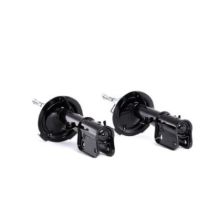 Shock Absorber - RIDEX 854S2361