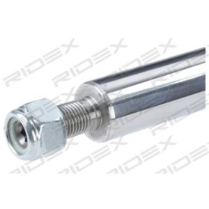 Shock Absorber - RIDEX 854S2362