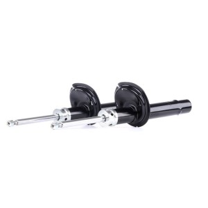 Shock Absorber - RIDEX 854S2366