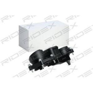 Ventilation Oil Separator - RIDEX 3886V0020