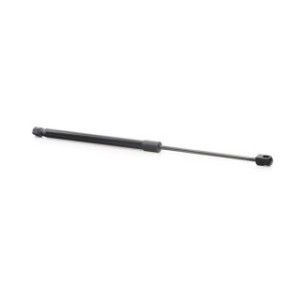 Tailgate Strut - RIDEX 219G0937