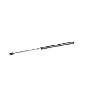 Tailgate Strut - RIDEX 219G0929
