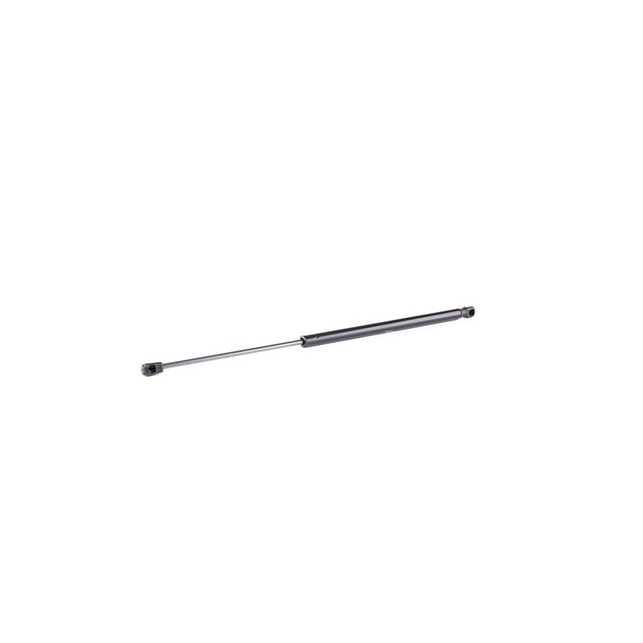 Tailgate Strut - RIDEX 219G0929