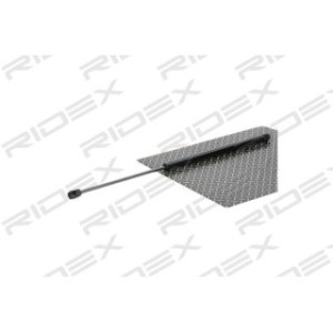 Tailgate Strut - RIDEX 219G0929