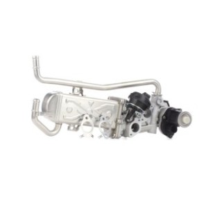 EGR Valve - RIDEX 4198E0003