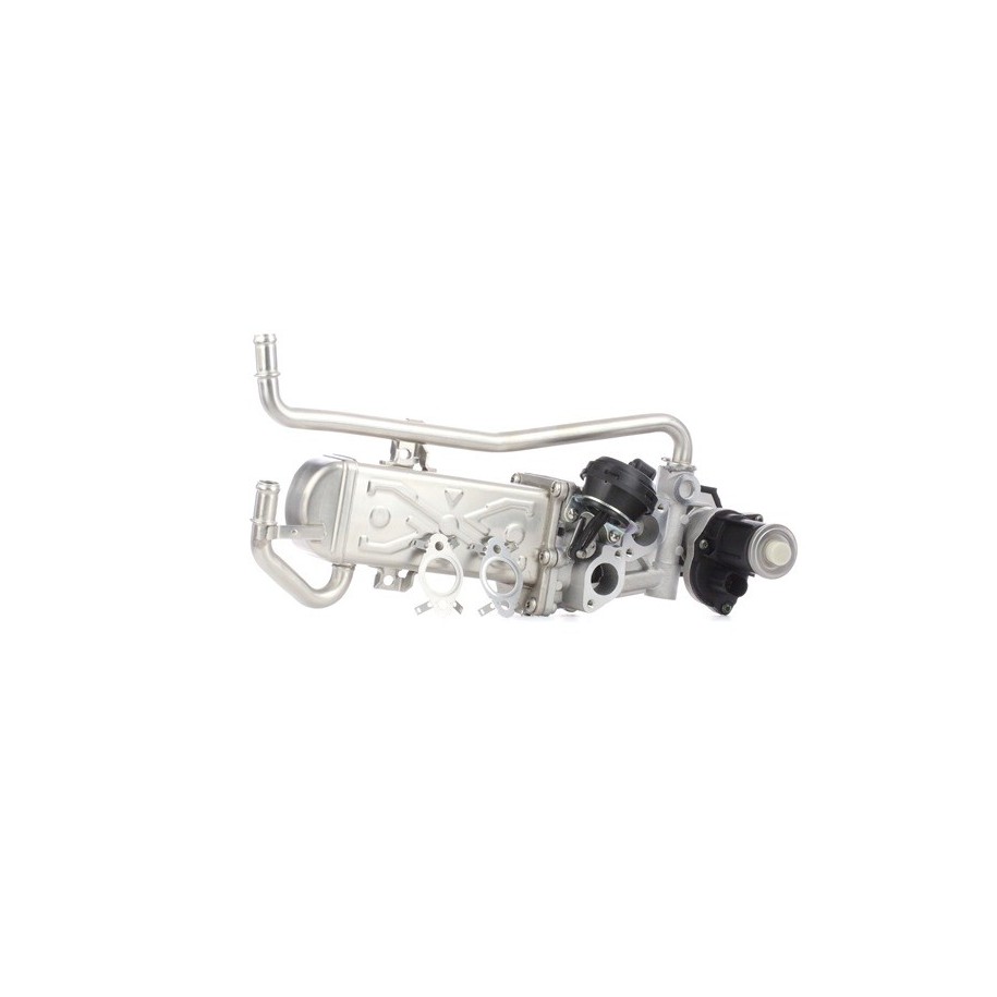 EGR Valve - RIDEX 4198E0003