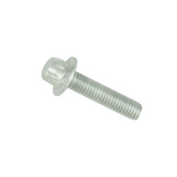 Screw BOGAP B1932100  OE 11517602125
