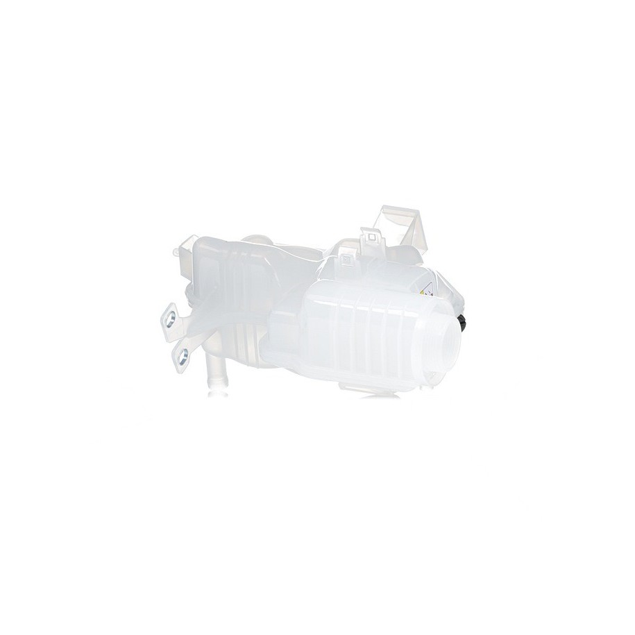 Coolant Expansion Tank - RIDEX 397E0138