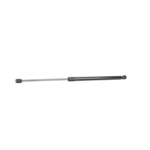Tailgate Strut - RIDEX 219G0945