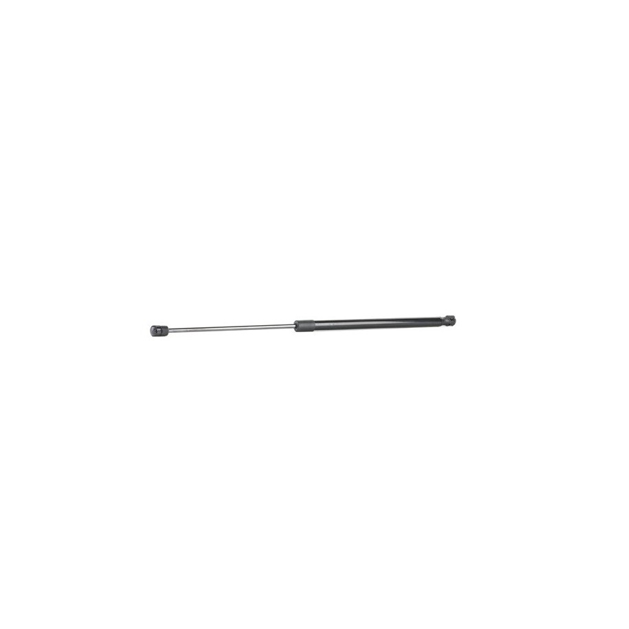 Tailgate Strut - RIDEX 219G0945