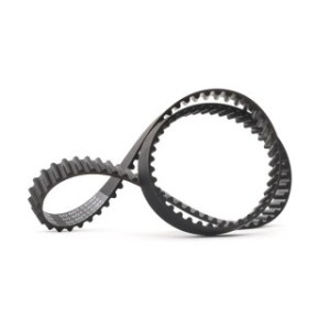 Timing Belt - RIDEX 306T0255