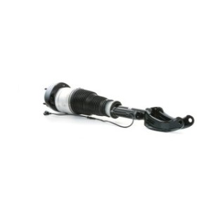 Air Suspension Leg/Strut - RIDEX 4118A0020