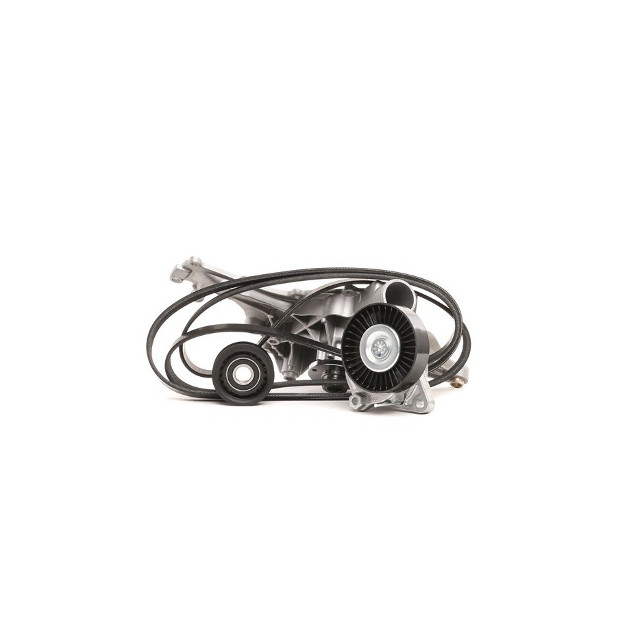 Water Pump V Ribbed Belt Set - RIDEX 4172P0004