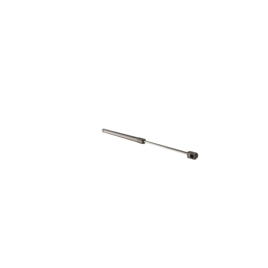 Tailgate Strut - RIDEX 219G0947