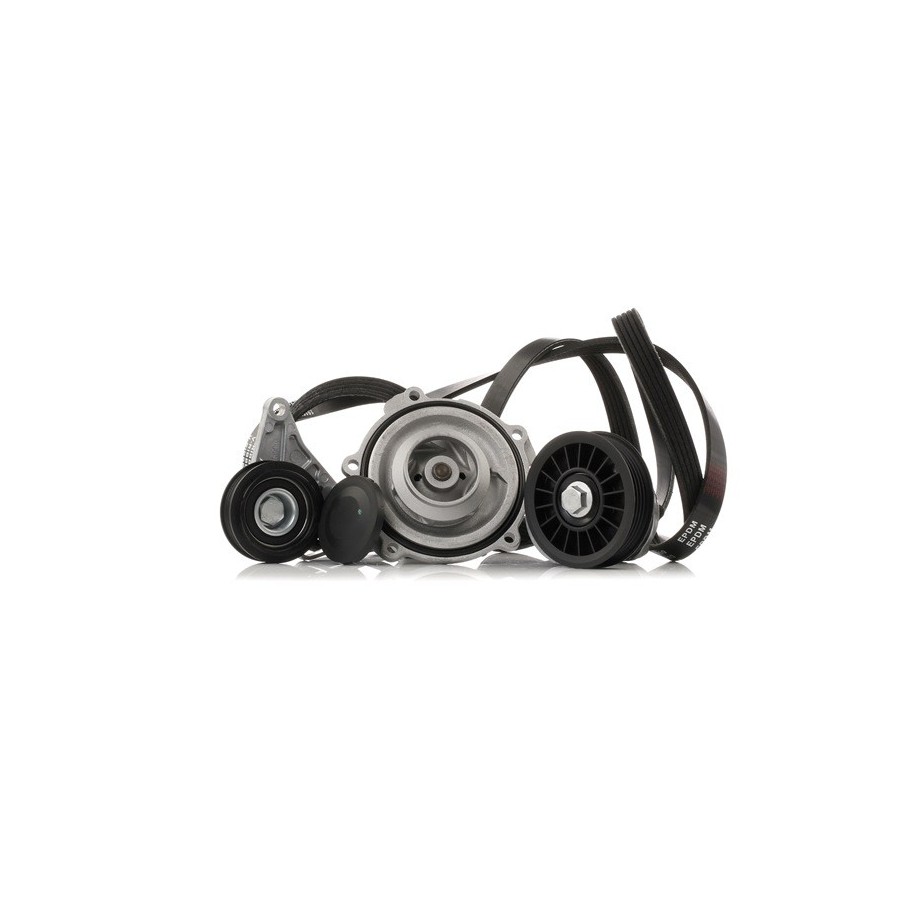Water Pump V Ribbed Belt Set - RIDEX 4172P0014