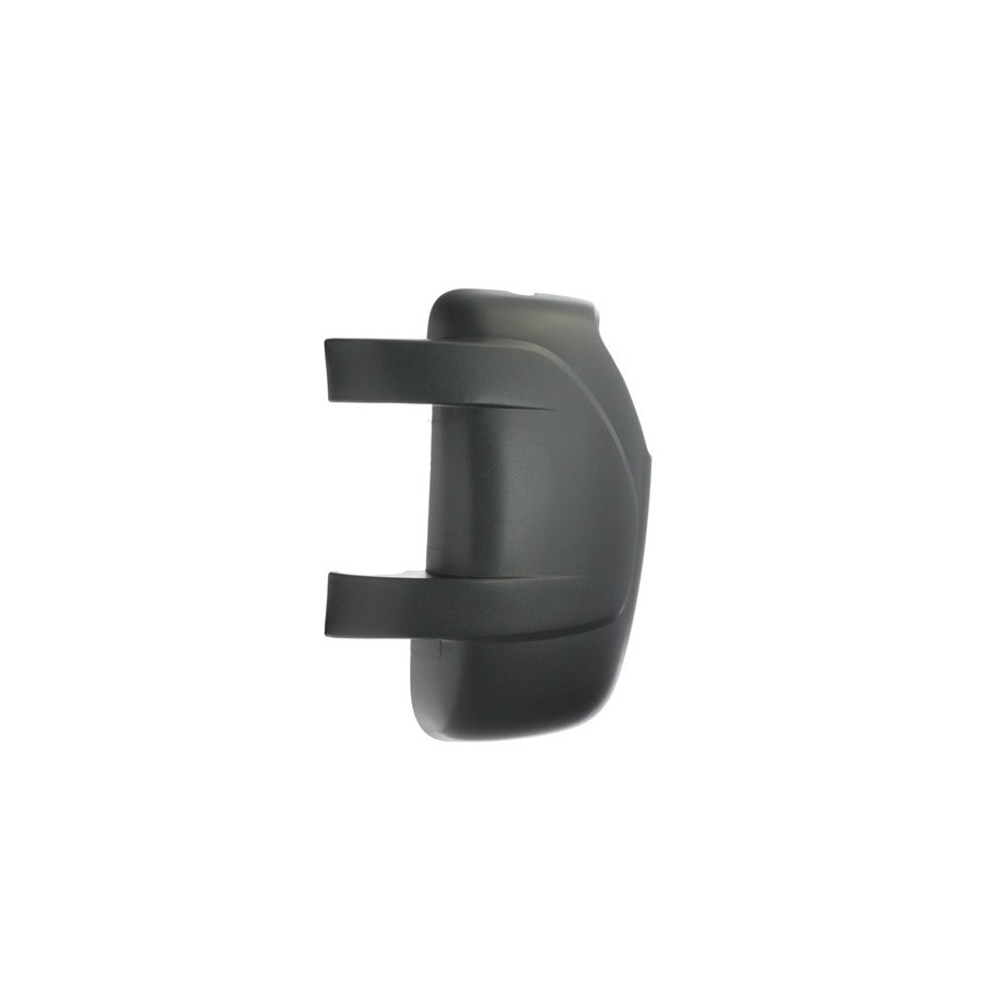 Exterior Mirror Cover - RIDEX 23A0108