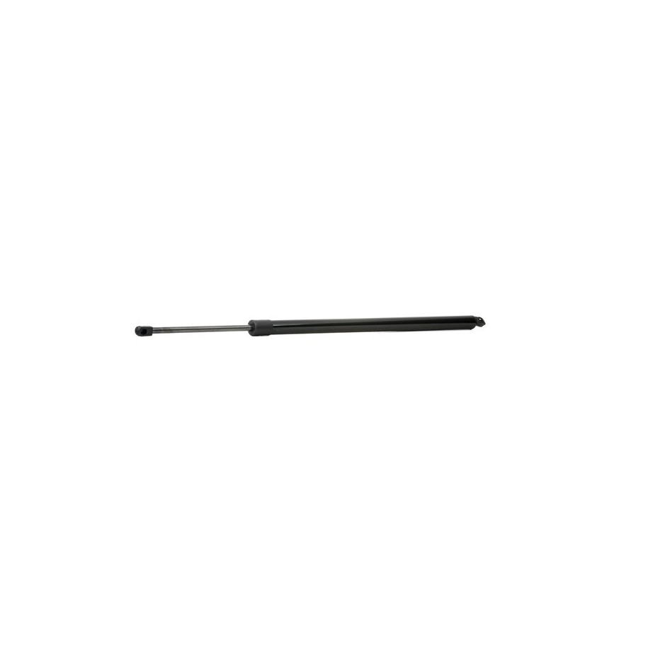 Tailgate Strut - RIDEX 219G0948