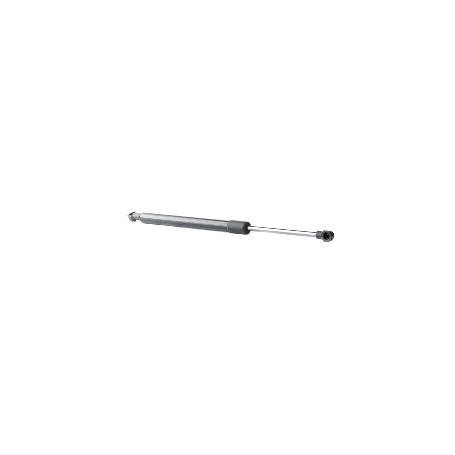 Rear Windscreen Gas Spring - RIDEX 219G0950