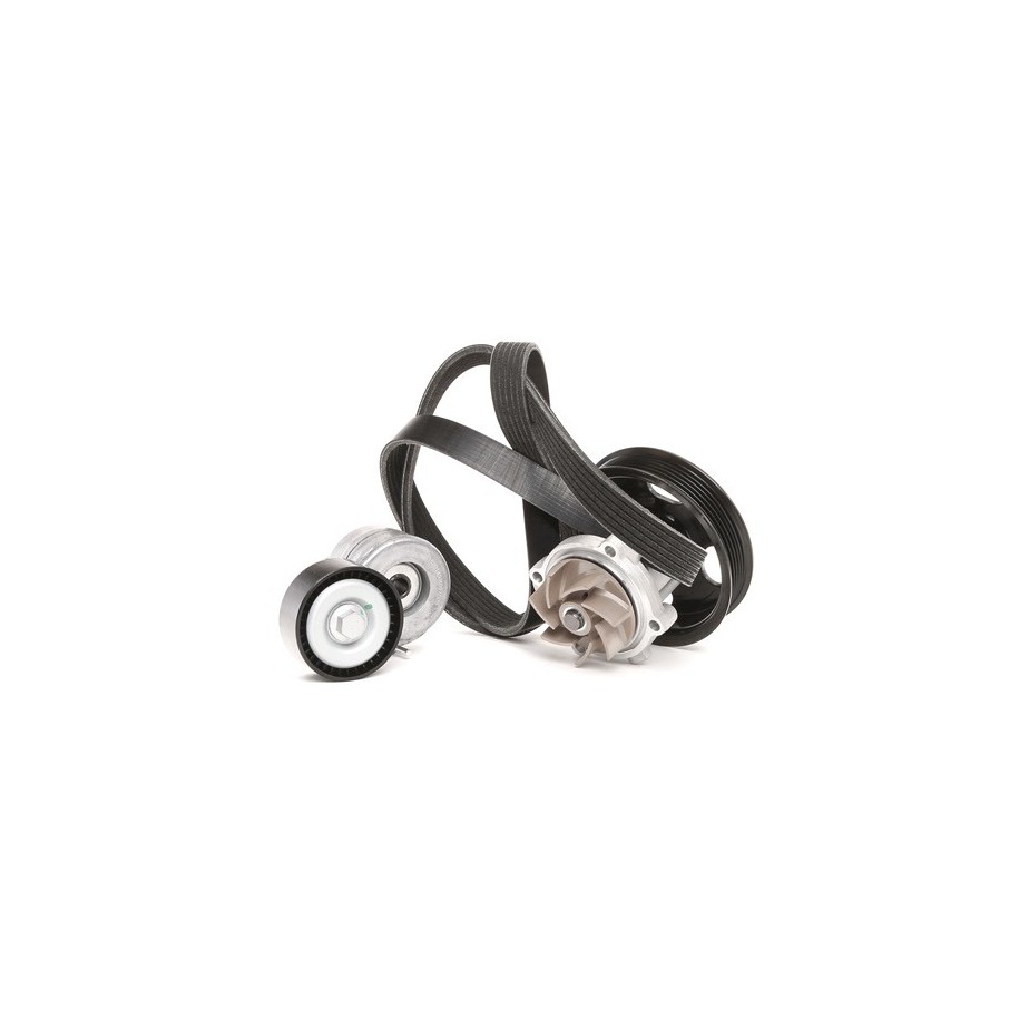 Water Pump V Ribbed Belt Set - RIDEX 4172P0016