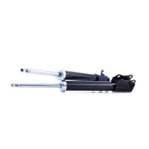 Shock Absorber - RIDEX 854S2579