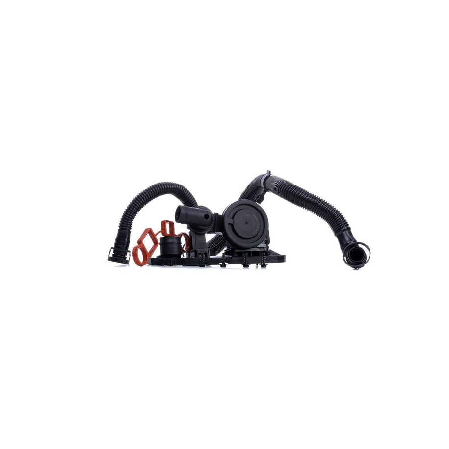 Ventilation Oil Separator - RIDEX 3886V0038